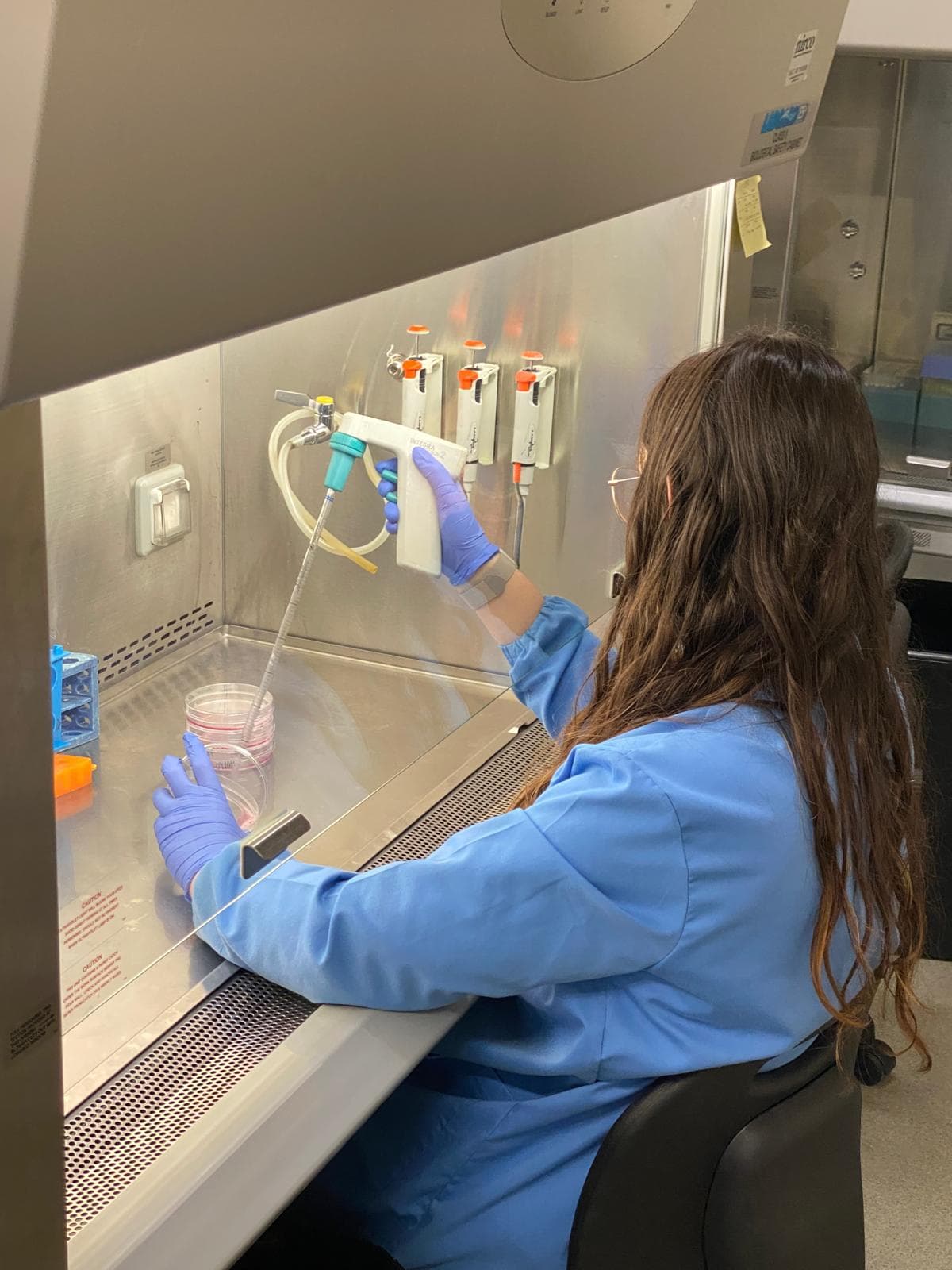 Sira working in the laboratory