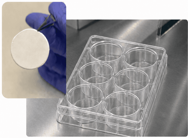 SpinWell-6 electrospun cell culture platform