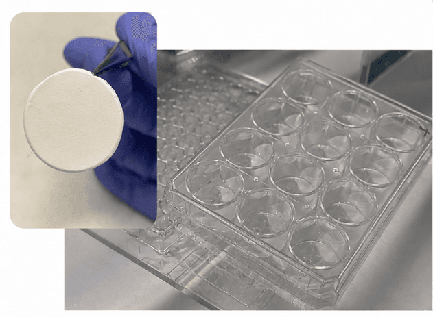 SpinWell-12 electrospun cell culture platform