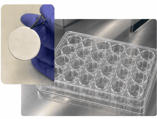 SpinWell-24 electrospun cell culture platform
