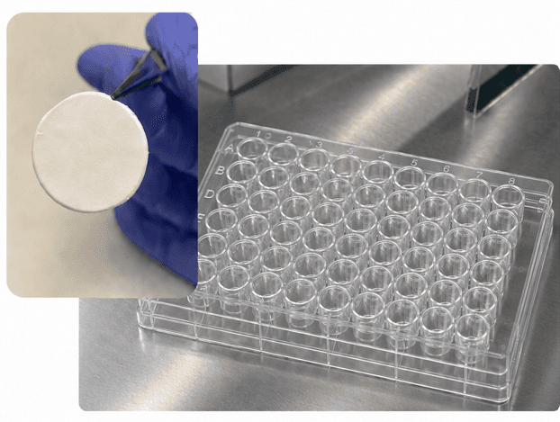 SpinWell-48 electrospun cell culture platform