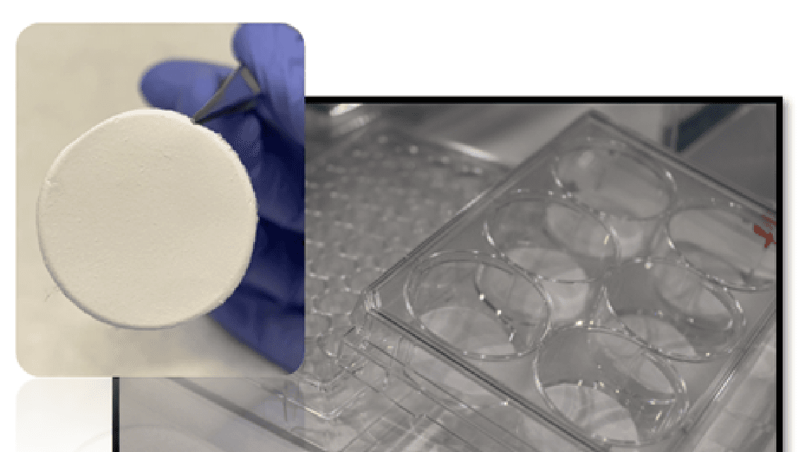 SpinWell-6 electrospun cell culture platform
